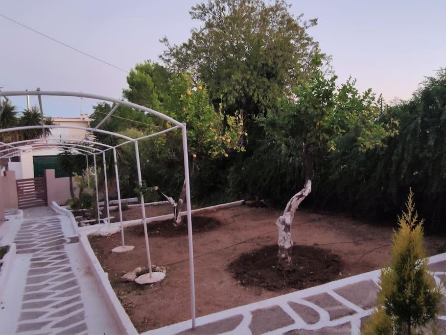 Penthouse Studio Next To The Sea Salamina Exterior foto